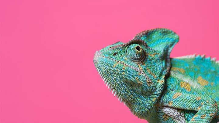 Image for Belirsizlik Döneminin Anahtarı: Değişime Adaptasyon Yetkinliği